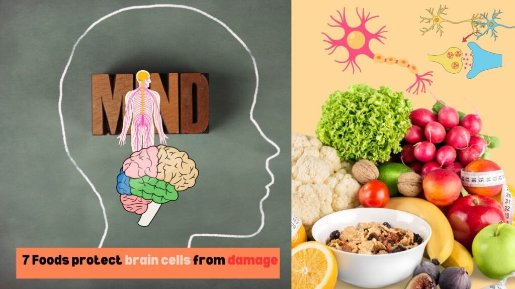 7 Foods protect brain cells from damage. A Reviewed by Nutrition Experts I‘d like to thing View food as neuron-energy for our brain, the most powerful tool you possess. Our brain with the right nutrients, we are empowering it to learn, grow, and reach its full potential! As we age, our brains face a constant barrage of challenges, from free radical damage to everyday wear and tear. But fellow knowledge warriors! Now you can complain or win. Just like any skilled fighter needs the right weapon, our brain craves specific ammunition to stay sharp and resilient. Enter the universe of brain-protective foods! These nutritional powerhouses, championed by leading nutrition experts, are packed with essential nutrients that can help safeguard your brain cells and optimize cognitive function. So, ditch the brain fog and get ready to wield these culinary weapons for a sharper, more resilient mind! Antioxidant Powerhouses First up in our arsenal are nature's tiny titans – berries! These antioxidant powerhouses are bursting with flavonoids, brain-friendly compounds that act like tiny shields, protecting your brain cells from free radical damage. Think of free radicals as sneaky saboteurs, wreaking havoc on your brain cells. But berries come to the rescue! Blueberries, strawberries, raspberries, and even blackberries are all loaded with these protective antioxidants, helping to keep our brain cells healthy and strong. Incorporating berries into your diet is easy! Add a handful to your morning cereal, blend them into a refreshing smoothie, or enjoy them as a healthy snack on their own. Not only are they delicious, but they're a simple way to fortify your brain's defenses. Omega-3s for the Win! Next on the brain-boosting menu is fatty fish! Salmon, tuna, sardines, and mackerel are champions of omega-3 fatty acids, particularly DHA (docosahexaenoic acid). DHA is a crucial building block for brain cells, playing a vital role in memory, learning, and overall cognitive function. Studies have shown that consuming omega-3s can help improve memory, focus, and even protect against age-related cognitive decline. Think of DHA as the building blocks for a strong and resilient brain city! Aim to incorporate fatty fish into your diet at least twice a week. Baked salmon with roasted vegetables, a tuna salad sandwich on whole-wheat bread, or a delicious sardine pizza (yes, it's a thing!) are all tasty ways to get your omega-3 fix. Leafy Green Legends for Brainpower on a Plate! Don't underestimate the power of leafy greens! These nutritional powerhouses are packed with brain-boosting nutrients like folate, vitamin K, and lutein. Folate plays a vital role in cognitive function and mood regulation, while vitamin K helps maintain healthy blood flow to the brain, which is essential for optimal cognitive performance. Lutein, on the other hand, acts as an antioxidant shield, protecting brain cells from damage. So, next time you're making a grocery list, don't forget to stock up on leafy green legends like kale, spinach, Swiss chard, and collard greens! Leafy greens are incredibly versatile. Add them to your morning omelet, blend them into a post-workout smoothie, or sauté them with garlic and olive oil for a delicious side dish. The possibilities are endless, and your brain will thank you for it! The Power of Nuts and Seeds Here come the crunchy champions – nuts and seeds! These tiny nutritional powerhouses are packed with brain-boosting benefits. Almonds, walnuts, flaxseeds, and chia seeds are all excellent sources of healthy fats, vitamin E, and B vitamins. Healthy fats, like those found in nuts and seeds, are crucial for maintaining the health of brain cell membranes. Vitamin E acts as a potent antioxidant, protecting brain cells from free radical damage, while B vitamins play a vital role in cognitive function, memory, and mood regulation. Nuts and seeds into diet is a delicious and convenient way to support brain health. Sprinkle them over your yogurt parfait, add them to your trail mix for a healthy on-the-go snack, or even grind them up and incorporate them into homemade granola bars. The options are endless, and your brain will reap the rewards! Curcumin's Cognitive Boost Looking to add a bit of flavor and brainpower to your meals? Look no further than the humble spice – turmeric! This vibrant yellow spice contains a powerful compound called curcumin, a rising star in the world of brain health research. Studies suggest that curcumin may have neuroprotective properties, helping to protect brain cells from damage and inflammation. curcumin may also improve memory function and cognitive performance. While incorporating turmeric itself into your diet is beneficial, the bioavailability (absorption by the body) of curcumin is relatively low. The good news? Pairing turmeric with black pepper significantly increases curcumin absorption. So, get creative! Add turmeric to your curries, sprinkle it over roasted vegetables, or even make a golden milk latte with turmeric, ginger, and black pepper for a warm and brain-boosting beverage. Water – The Brain's Best Friend We all know how important water is for our physical health, but did you know it's also crucial for brain function? The brain is made up of about 73% water, and even mild dehydration can impair cognitive function, memory, and concentration. Think of your brain as a complex computer. Just like any computer, it needs a steady flow of coolant to function optimally. That coolant, in this case, is water! Aim to drink plenty of water throughout the day to keep your brain hydrated and firing on all cylinders. Carry a reusable water bottle with you, set reminders on your phone, and find ways to make water more enjoyable. Add a squeeze of lemon or cucumber for a refreshing twist, or explore naturally flavored sparkling waters for a bit of fizz. Remember, a hydrated brain is a happy brain! Coffee's Cognitive Kick Coffee lovers, rejoice! Your morning cup of joe can do more than just wake you up. Studies suggest that coffee may offer a range of cognitive benefits, including improved memory, focus, and alertness. The magic ingredient in coffee is caffeine, a stimulant that acts on the central nervous system. Caffeine helps to block adenosine, a neurotransmitter that promotes drowsiness. Additionally, it increases the levels of dopamine and norepinephrine, neurotransmitters that enhance alertness, focus, and mood. However, moderation is key. While a moderate intake of coffee (around 400mg per day) may offer cognitive benefits, excessive caffeine consumption can lead to anxiety, jitters, and disrupted sleep – all detrimental to brain health. So, enjoy your daily cup of coffee, but be mindful of your intake. Listen to your body and adjust your coffee consumption accordingly. Don't Forget the Beans! Looking for a budget-friendly way to boost your brainpower? Look no further than the humble bean! Beans, including lentils, black beans, and chickpeas, are nutritional powerhouses packed with brain-boosting benefits. Beans are an excellent source of plant-based protein, which is essential for building and maintaining brain cells. Additionally, they are rich in fiber, B vitamins, and complex carbohydrates – all crucial nutrients for cognitive function. Here's the best part: beans are incredibly versatile and affordable. Incorporate them into soups, stews, salads, or even make a delicious bean burger for a satisfying, brain-boosting meal. Don't underestimate the power of these budget-friendly champions! Fueling you’re Brain for Life You’re taking a proactive approach to safeguarding your cognitive health. Remember, a balanced diet is key. Variety is the spice of life, and it's also the key to providing your brain with the full spectrum of nutrients it needs to thrive. Making healthy eating enjoyable will make it easier to stick with in the long run.